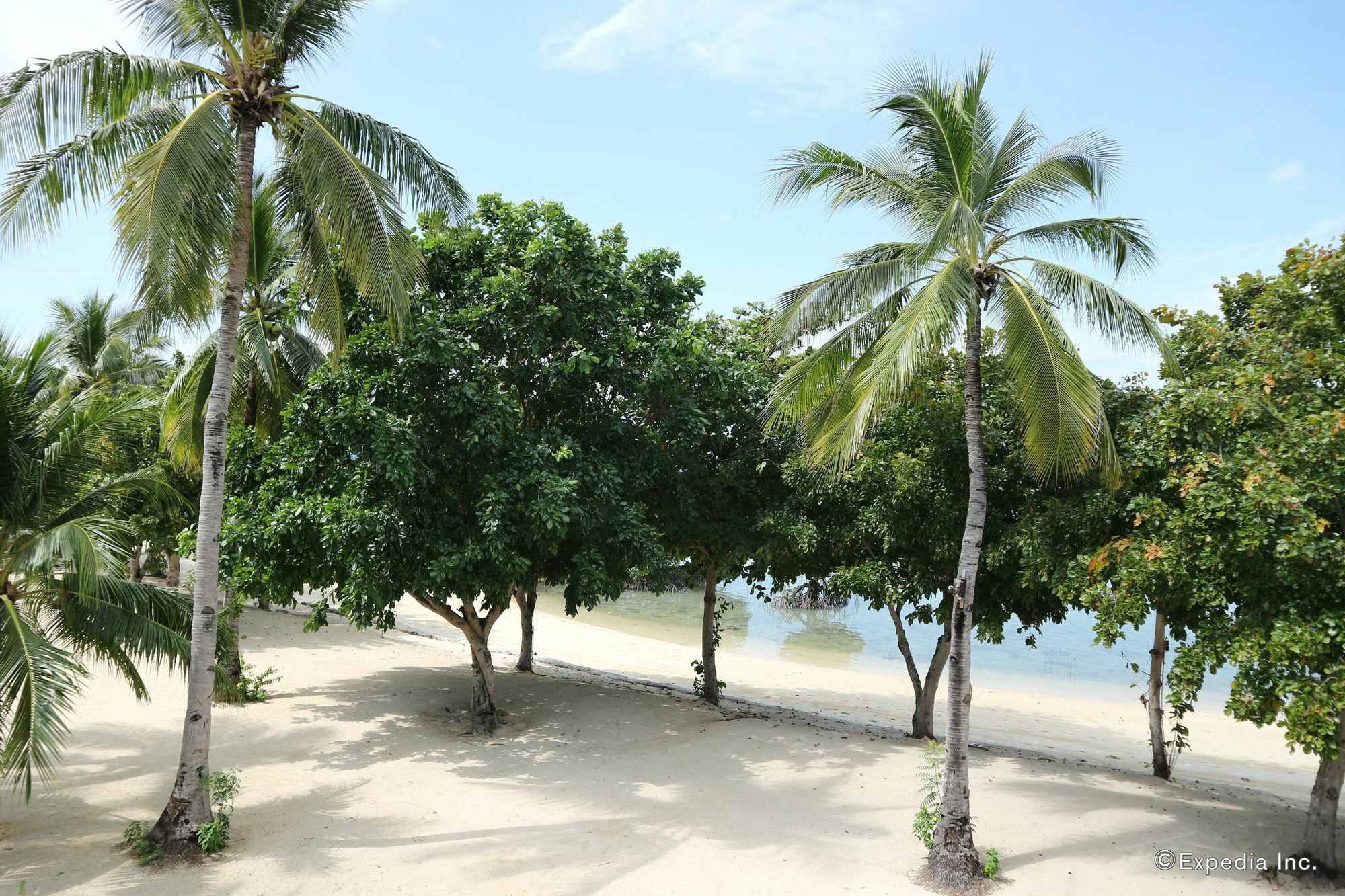 Dos Palmas Island Resort & Spa Puerto Princesa Luaran gambar