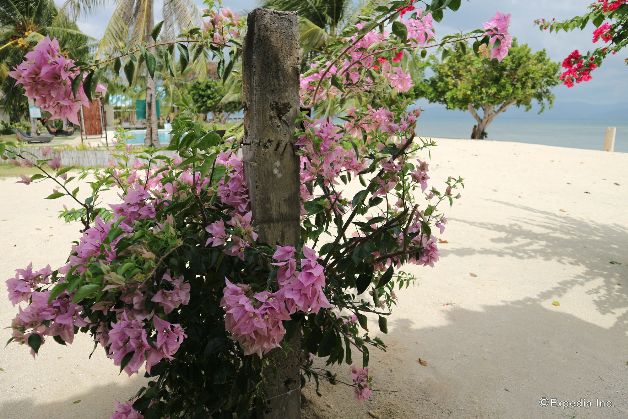 Dos Palmas Island Resort & Spa Puerto Princesa Luaran gambar